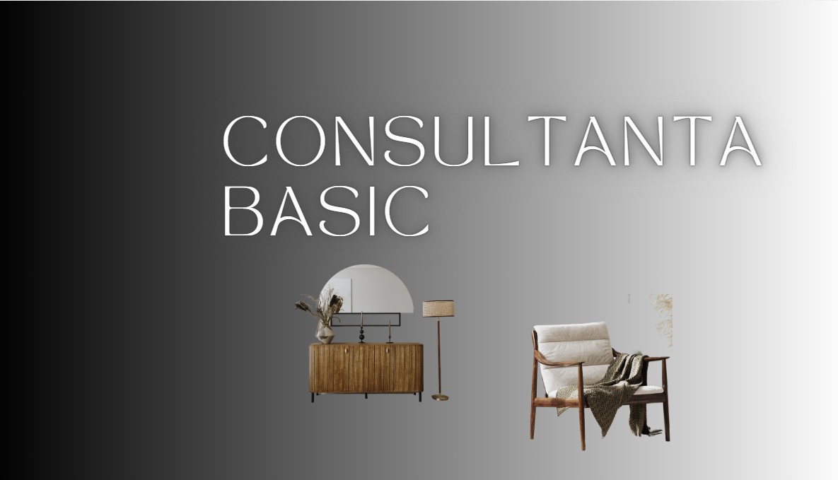 Pachet Basic – Consultanță Online